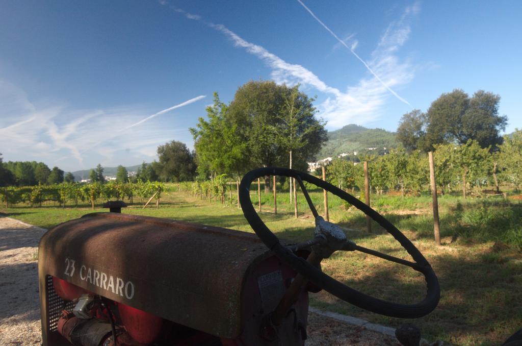 1720 Quinta Da Cancela - Winery & Farmhouse Guimarães Exteriör bild